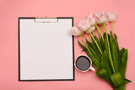 A beautiful bouquet of delicate pink tulips next to a cup of coffee on a pink background with a place for your text on a white backgroundの写真素材