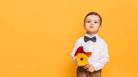 A boy in a white shirt, trousers and bow tie on a yellow background holds a bouquet of gerberas. A gift for my mother, grandmother. With space for your text.の写真素材