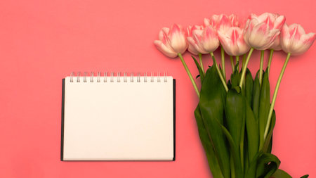 A beautiful bouquet of delicate pink tulips lies on a pink background with a place for your text on a white backgroundの写真素材