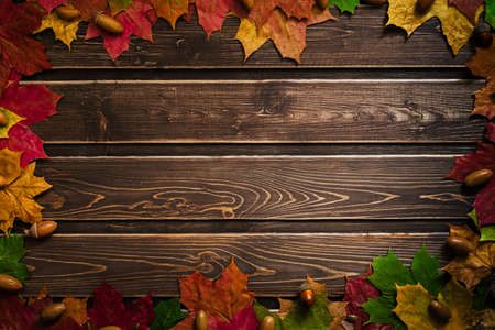 The concept of autumn wallpaper. Dry maple leaves lined with frame for your textの写真素材
