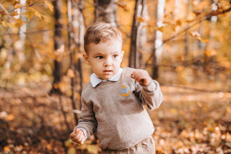 happy smiling boy in the Park with autumn leavesの写真素材