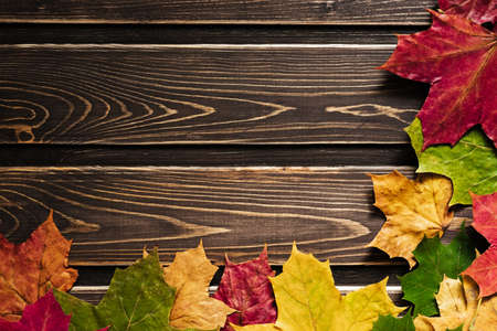 autumn background with colored leaves on a dark wooden backgroundの写真素材