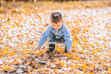 Happy boy playing with autumn yellow leaves outdoors in the Parkの写真素材