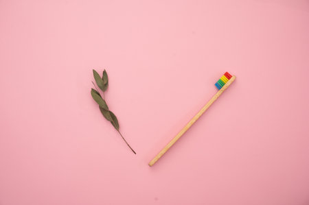 Eco-friendly bamboo toothbrush, dental cleaner and a green leaf on a pink background.の写真素材