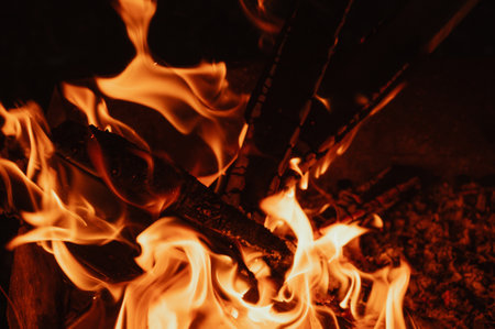 A bonfire in close-up, flames, charred pieces of logs and ashes in the open air. Camping.の写真素材