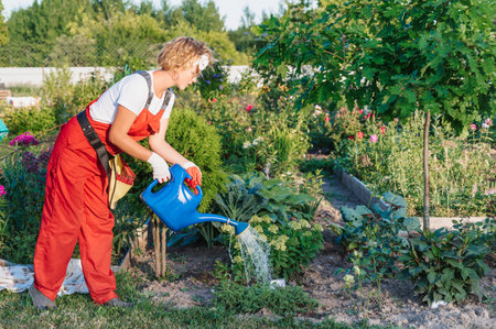 A female gardener in gloves and an apron is watering flowers in a flowerbed from a watering can. Gardening and floriculture. Flower careの写真素材