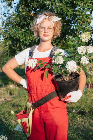 Portrait of a happy joyful female florist-gardener with a hydrangea flower pot outdoors. Gardening and floriculture. Growing flowers in the home gardenの写真素材