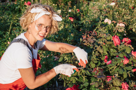 A cute female gardener is pruning plants in her garden. The gardener prunes roses with pruning shears. Preventive annual treatment.Gardening and floriculture. Growing flowers in the home garden.の写真素材
