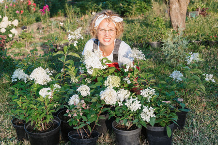 Portrait of a happy joyful female florist-gardener with a hydrangea flower pot outdoors. Gardening and floriculture. Growing flowers in the home gardenの写真素材