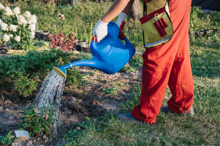 A female gardener in gloves and an apron is watering flowers in a flowerbed from a watering can. Gardening and floriculture. Flower careの写真素材