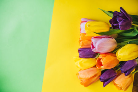 beautiful tulips on a multicolored background. the view from the top. with space for textの写真素材