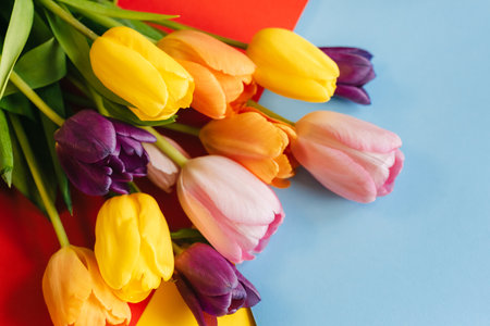 beautiful tulips on a multicolored background. the view from the top.の写真素材