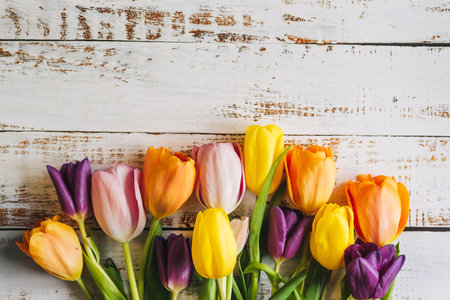 colorful tulips on a white wooden background. the view from the top. with space for textの写真素材