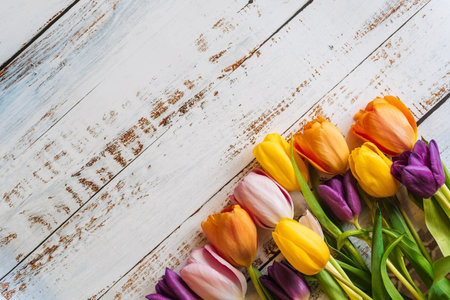 tulips on a light wooden background. the view from the top. with space for textの写真素材