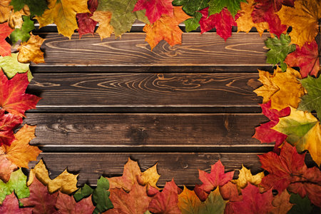 autumn background with colored leaves on wooden boardの写真素材