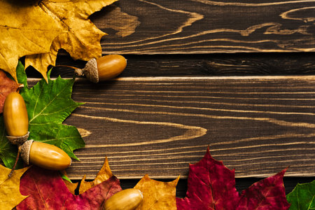 The concept of autumn wallpaper. Dried maple leaves and acorns lined with a frame with a copy space for your textの写真素材