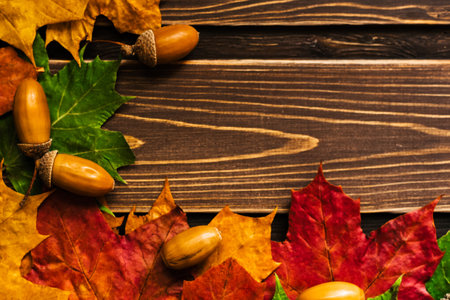 The concept of autumn wallpaper. Dry maple leaves lined with frame for your text