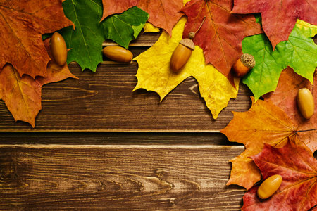 The concept of autumn wallpaper. Dry maple leaves lined with frame for your textの写真素材