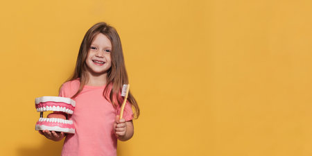 A happy girl holds a toothbrush and a large jaw in her hands. An isolated panoramic shot. A place for your text. prevention of childhood caries.の写真素材