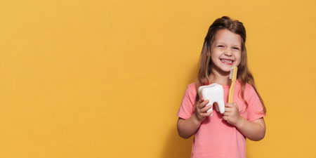 A happy girl holds a toothbrush and a plastic tooth in her hands. An isolated panoramic shot. A place for your text. prevention of childhood caries.の写真素材