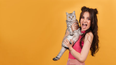 A beautiful young woman holds a tabby cat in her arms. National adopt a shelter pet day conceptの写真素材
