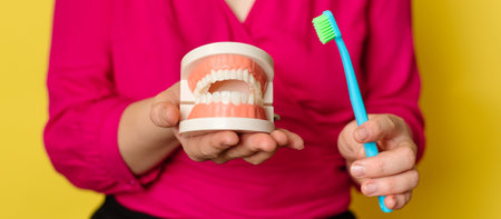 Close-up of a plastic jaw and a toothbrush in a womans hands on a yellow isolated background....