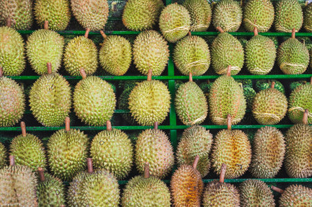 Durian fruits for sale in the fruit market of Vietnam.