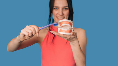 A smiling young woman with a jaw model and a toothbrush on a blue background. The concept of oral hygiene. Orthodontics. A panoramic image with a copy of the space.の写真素材