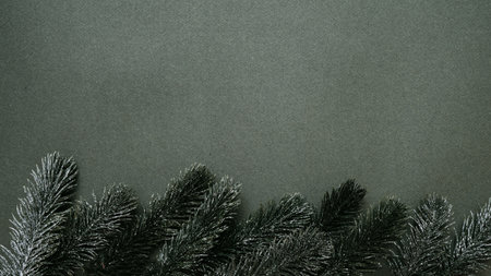 Christmas tree branches, on a solid green background. Empty space for your ad or text.の写真素材
