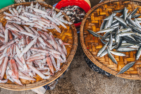 A variety of Fresh fish at the local Asian market in Nha Trang, Vietnam.の写真素材