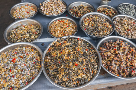 Fresh edible snails at a local market in Nha Trang, Vietnam.の写真素材
