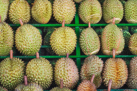 Durian fruits are sold to customers at the Asian fruit market.の写真素材