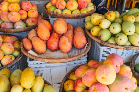 Various mango varieties are stored for sale on the market in Asia.の写真素材