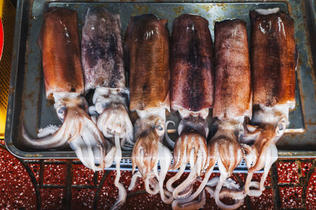 Freshly caught common squid in an ice box at a farmers marketの写真素材
