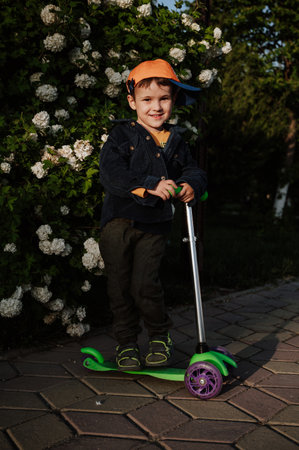 A little boy rides a scooter outdoors in a park among a green hedge and flowers. Vertical photo.の写真素材