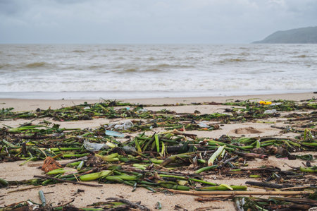 Garbage on the beach, environmental pollution. A storm is brewing in the background.の写真素材