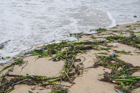 Mountains of waste and garbage on the sandy beach after the tide. Humanity is polluting the ocean.Panoramicの写真素材