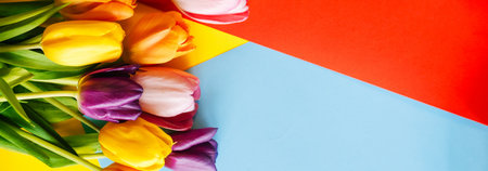 Colorful tulips on a colorful background. Top view with a copy of the space. Horizontal wide photo subtitle, cover. copy-spaceの写真素材