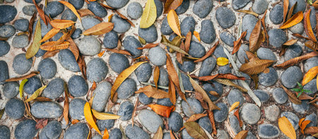 A pile of dried tropical leaves on a stone garden path.の写真素材
