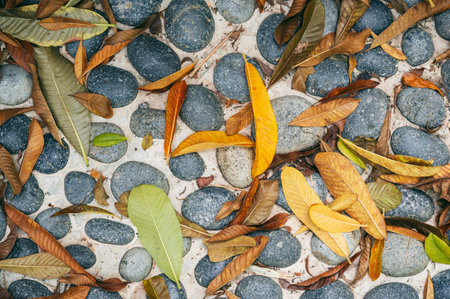 A pile of dried tropical leaves on a stone garden path.