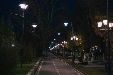 A Serene Night Pathway that is Beautifully Illuminated by Streetlights and Lightsの写真素材