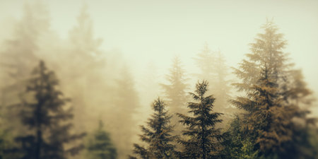 abstract green woodland background with soft glow and light flares.の素材