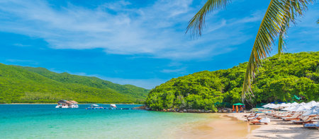 Tropical sand beach with palm trees. Summer Background.の写真素材