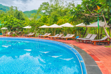 View of the tropical outdoor pool with sun loungers, surrounded by palm trees under a bright sunny sky.の写真素材