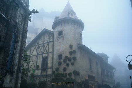 The facade of the building in the style of old European architecture in the fogの写真素材