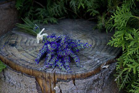 Bunch of lavender on a logの写真素材