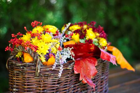 Dried flowers in a wicker basketの写真素材