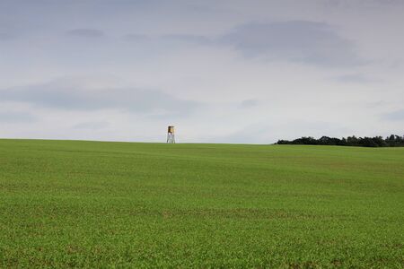 Hunting Tower on the field in spring time, countryside landscapeの写真素材