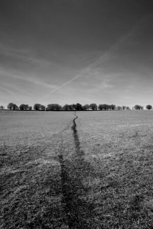 beaten path in a field, black and white countryside landscapeの写真素材