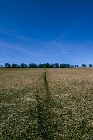 beaten path in a field with blue sky, countryside landscape